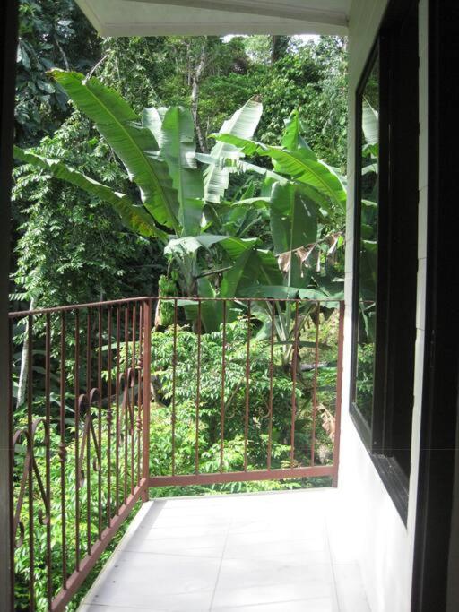 Casa Palmera Cocles, 300M To The Beach Puerto Viejo de Talamanca Exterior photo